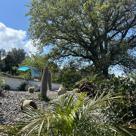 Grazia * 산타가타디밀리텔로