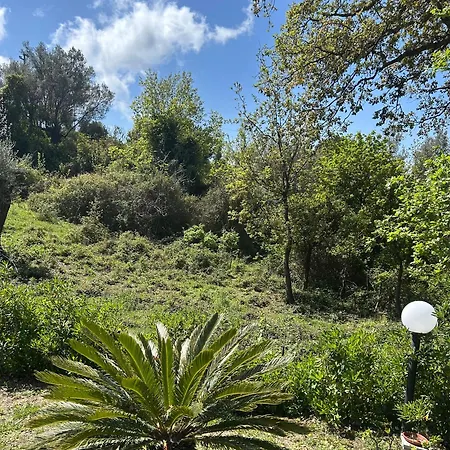 Grazia 빌라 산타가타디밀리텔로